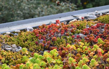 the cost of Knighton On Teme green roof installation