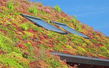 Knighton On Teme living roof systems