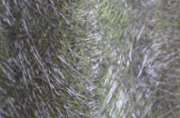 Knighton On Teme fibreglass roof work